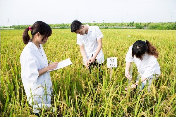 Khoa học cây trồng – Ngành học không lo thất nghiệp - Ảnh 1.