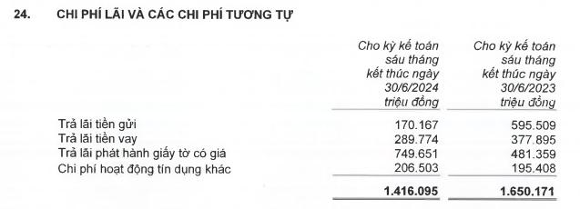 Có gì trong Báo cáo tài chính bán niên 2024 của EVNFinance- Ảnh 3.