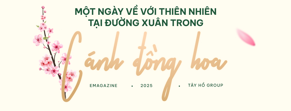 Tết này! Lên chuyến tàu về với thiên nhiên tại đường xuân giữa cánh đồng hoa - Ảnh 3.