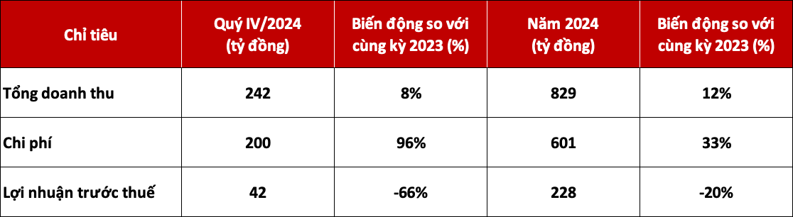 DNSE tăng doanh thu 12%, đạt 1 triệu tài khoản chứng khoán năm 2024- Ảnh 1.