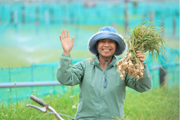 Nam Ngư chung tay quảng bá đặc sản tỏi Lý Sơn - Ảnh 4.