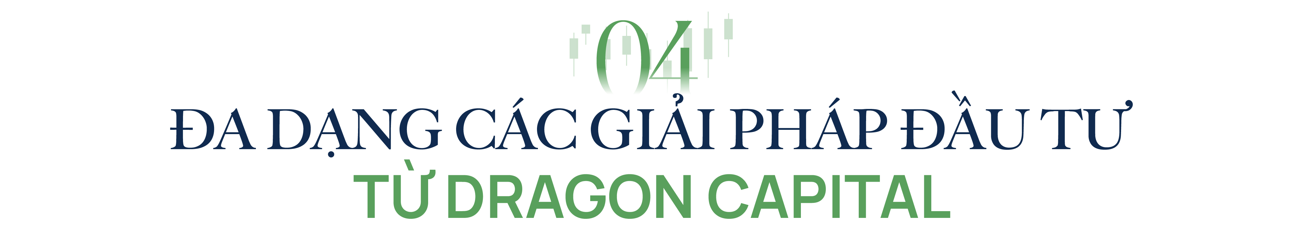 Dragon Capital: Cơ hội cho nhà đầu tư trước ‘kỷ nguyên vươn mình’ của Việt Nam - Ảnh 11.