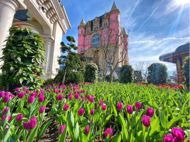 Sun World Ba Na Hills hứa hẹn hút khách dịp Tết Ất Tỵ với lễ hội hoa 2025 - Ảnh 1.