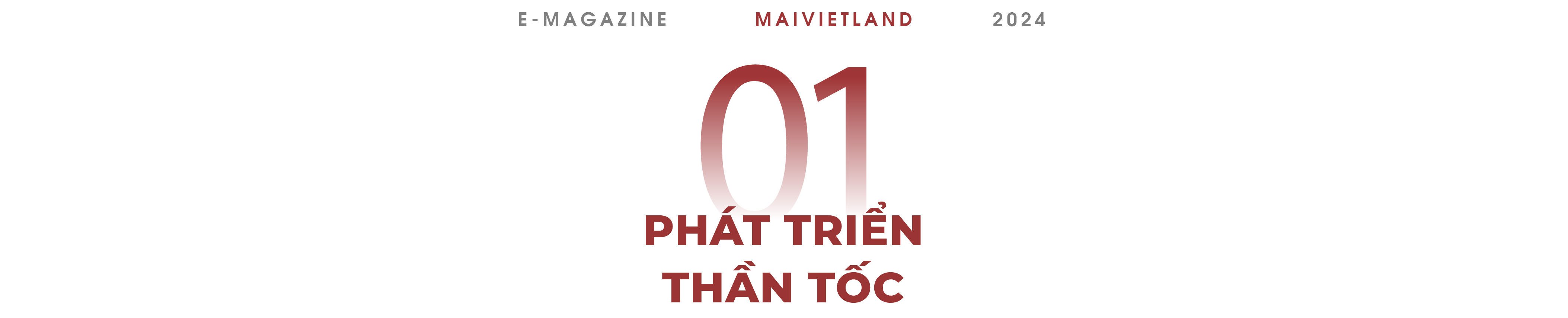 Mai Việt Land: Phát triển thần tốc với quy mô đến 11 chi nhánh, 1000 nhân sự - Sẵn sàng bứt tốc trong kỷ nguyên vươn mình - Ảnh 1.