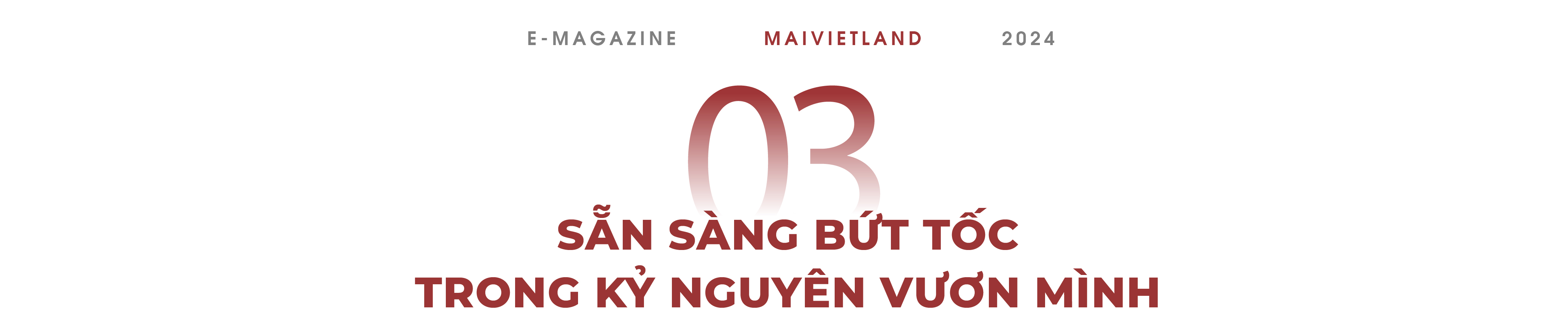 Mai Việt Land: Phát triển thần tốc với quy mô đến 11 chi nhánh, 1000 nhân sự - Sẵn sàng bứt tốc trong kỷ nguyên vươn mình - Ảnh 8.