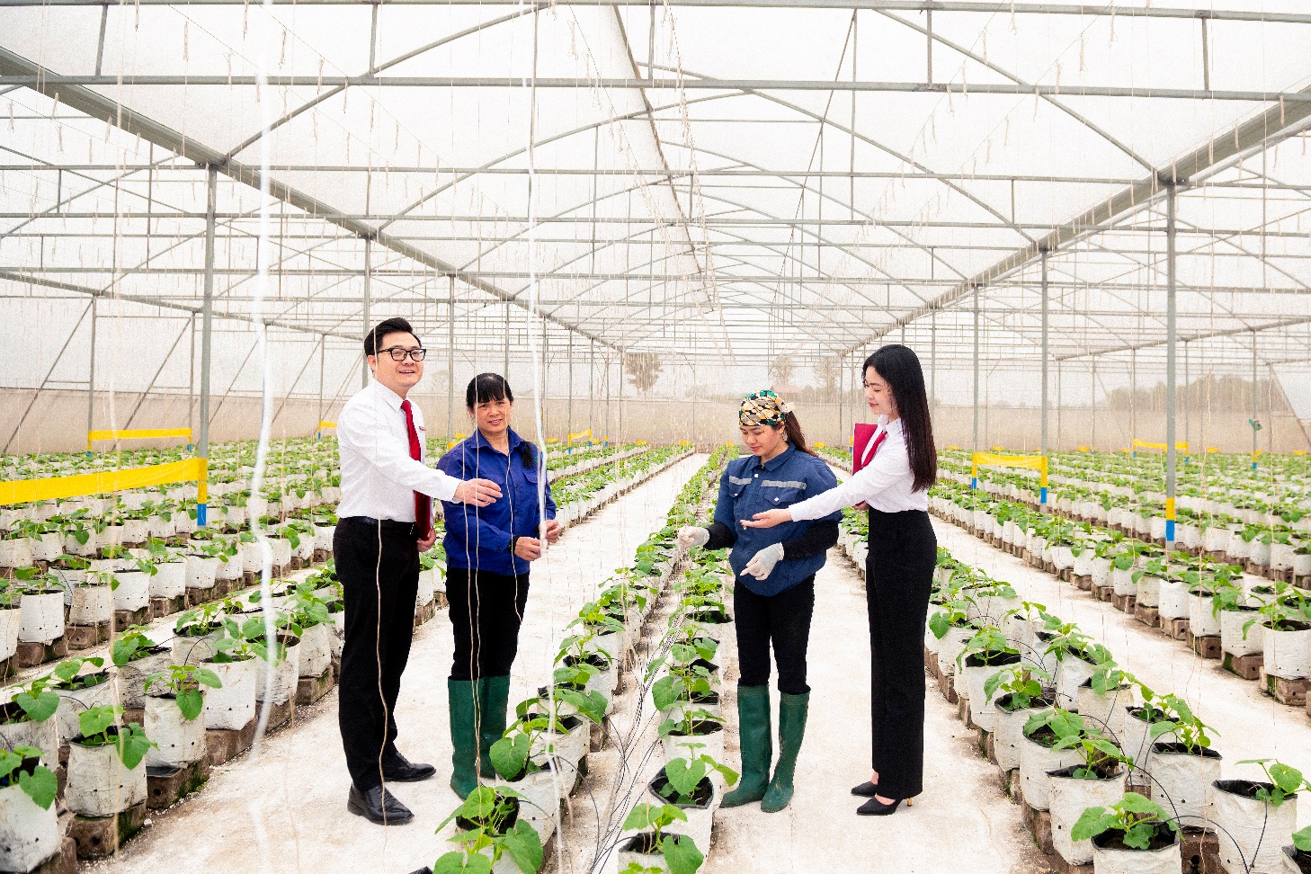 Agribank Đẩy Mạnh Sắp Xếp Tổ Chức Mạng Lưới Theo Hướng Tăng Cường Phát Triển "Tam Nông"- Ảnh 4. Agribank Đẩy Mạnh Sắp Xếp Tổ Chức Mạng Lưới Theo Hướng Tăng Cường Phát Triển "Tam Nông"- Ảnh 4.