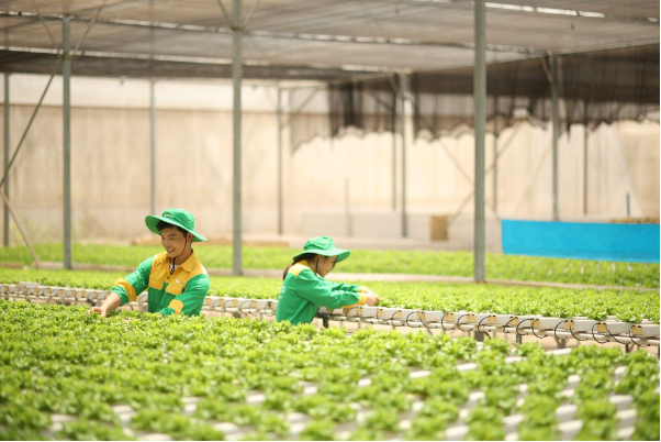 10 năm trao vị lành cho triệu bữa ăn ngon - Ảnh 3.