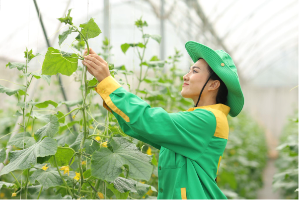 10 năm trao vị lành cho triệu bữa ăn ngon - Ảnh 4.