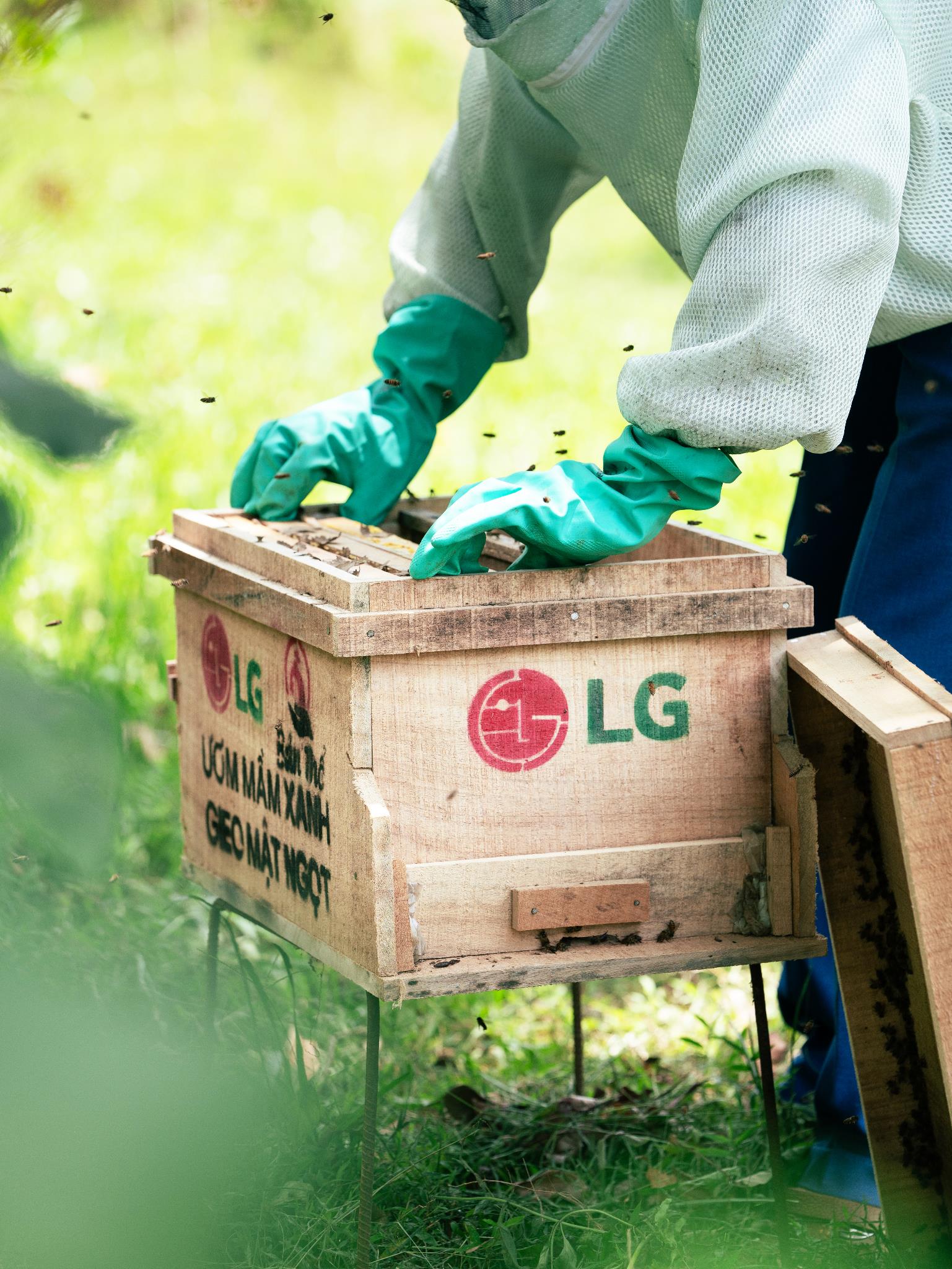 Đại sứ Cộng đồng LG 2025: Hành trình cùng cộng đồng kiến tạo tương lai bền vững- Ảnh 1.