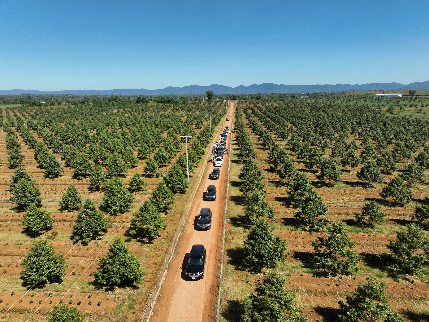 Sự trở lại của HAGL và dấu ấn “kiến trúc sư” OCBS trong bức tranh chiến lược mới- Ảnh 1. Sự trở lại của HAGL và dấu ấn “kiến trúc sư” OCBS trong bức tranh chiến lược mới- Ảnh 1.