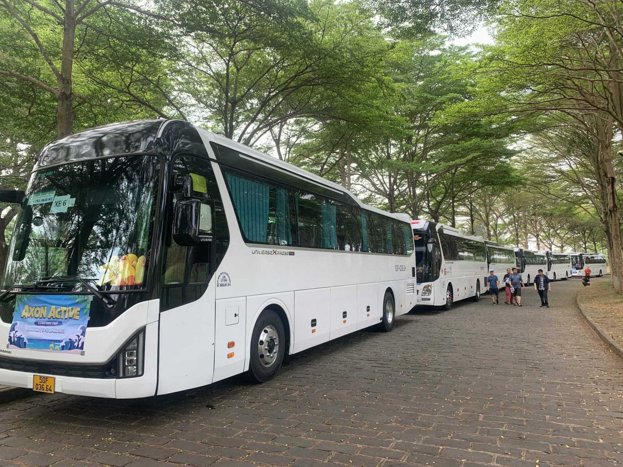 Xe Miền Nam: Định hình chuẩn mực mới cho dịch vụ thuê xe cao cấp tại Việt Nam - Ảnh 3.