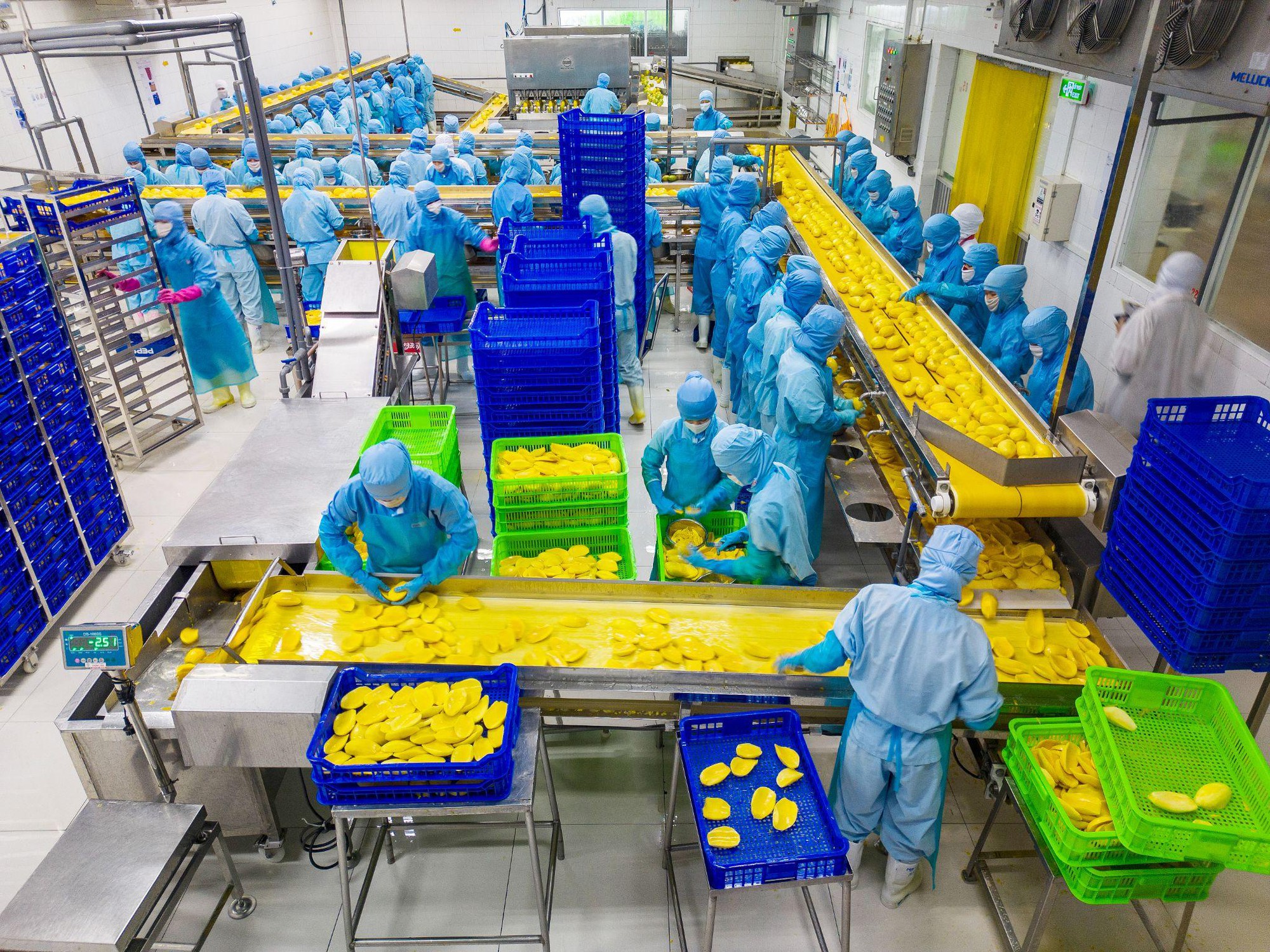 HOSE nhận hồ sơ niêm yết, Antesco tiến gần mục tiêu 300 triệu USD- Ảnh 3. HOSE nhận hồ sơ niêm yết, Antesco tiến gần mục tiêu 300 triệu USD- Ảnh 3.