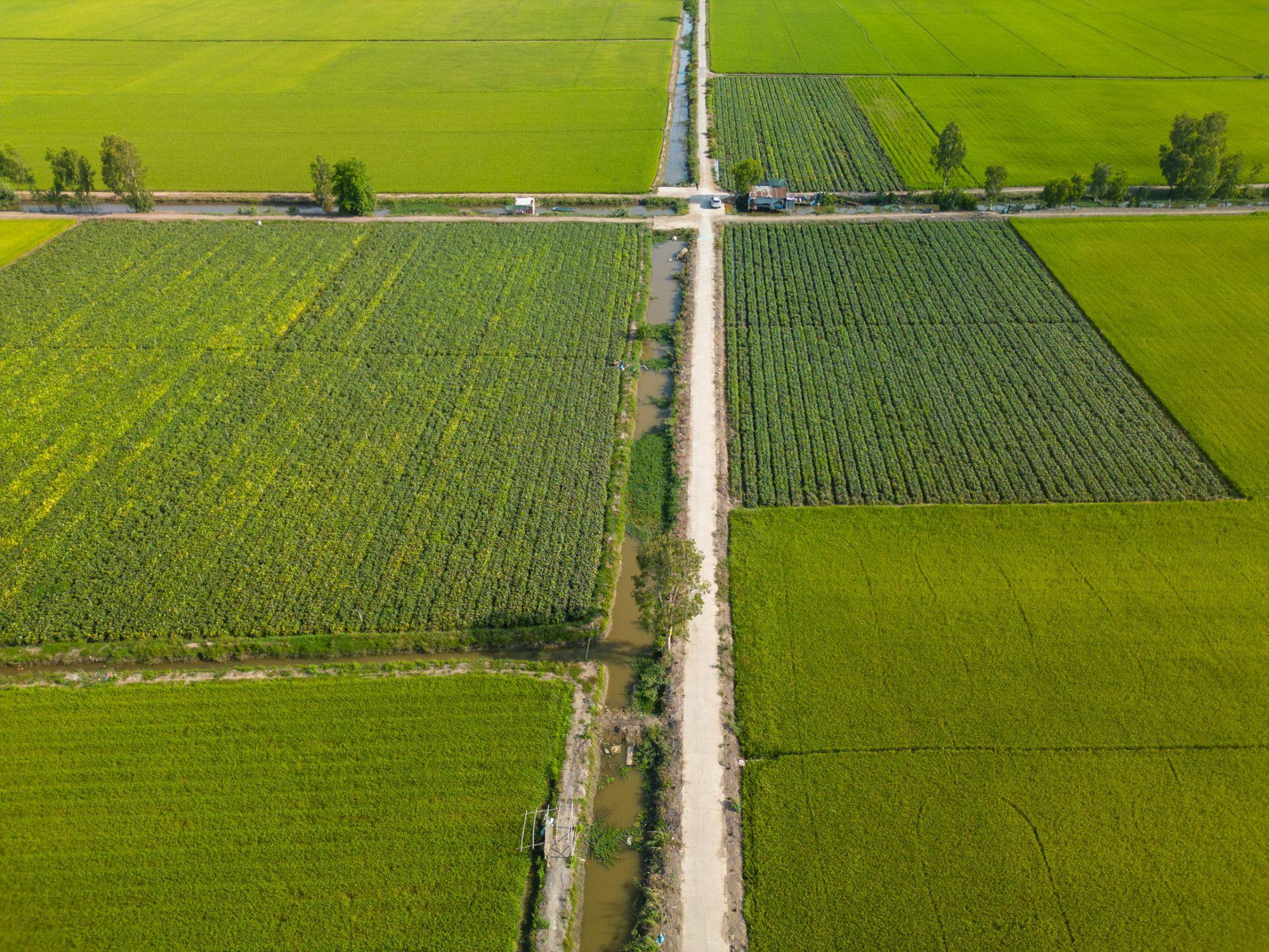 HOSE nhận hồ sơ niêm yết, Antesco tiến gần mục tiêu 300 triệu USD- Ảnh 4. HOSE nhận hồ sơ niêm yết, Antesco tiến gần mục tiêu 300 triệu USD- Ảnh 4.