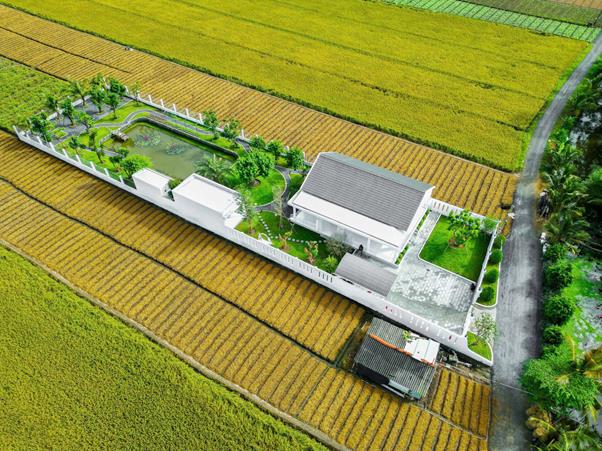 Nhà vườn Gò Công - Chốn nghỉ dưỡng ven đô dành cho người mê sống xanh- Ảnh 2.