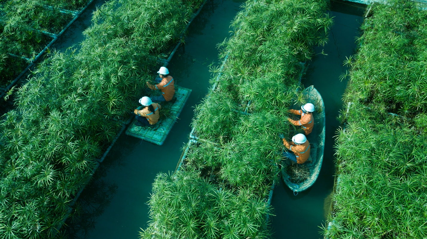 Giá vonfram lập đỉnh mới, tác động tích cực đến doanh nghiệp khoáng sản Việt- Ảnh 3. Giá vonfram lập đỉnh mới, tác động tích cực đến doanh nghiệp khoáng sản Việt- Ảnh 3.