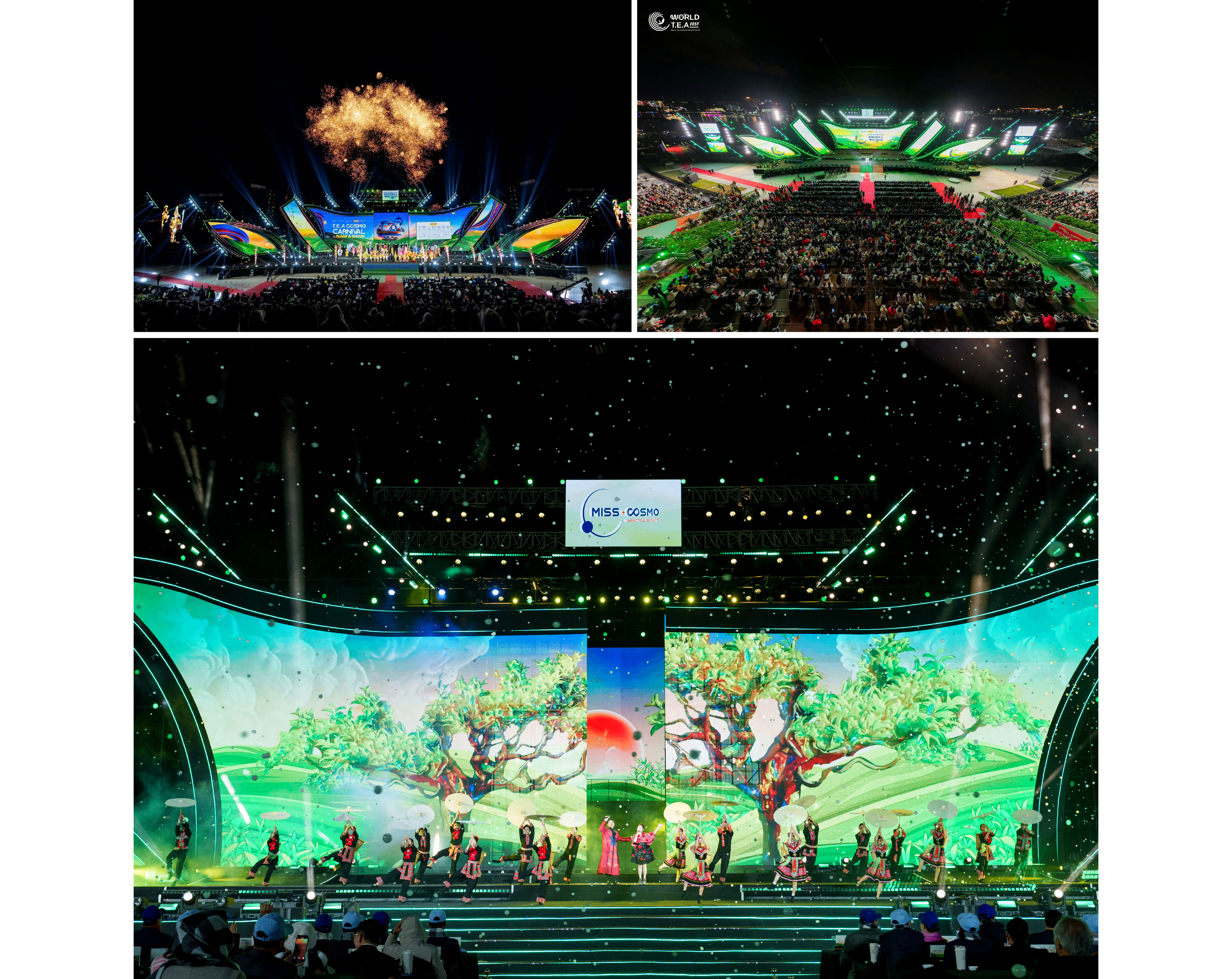 Trà Việt Vươn Mình: Dấu Ấn Quốc Tế Từ World T.E.A Fest 2025- Ảnh 17. Trà Việt Vươn Mình: Dấu Ấn Quốc Tế Từ World T.E.A Fest 2025- Ảnh 17.