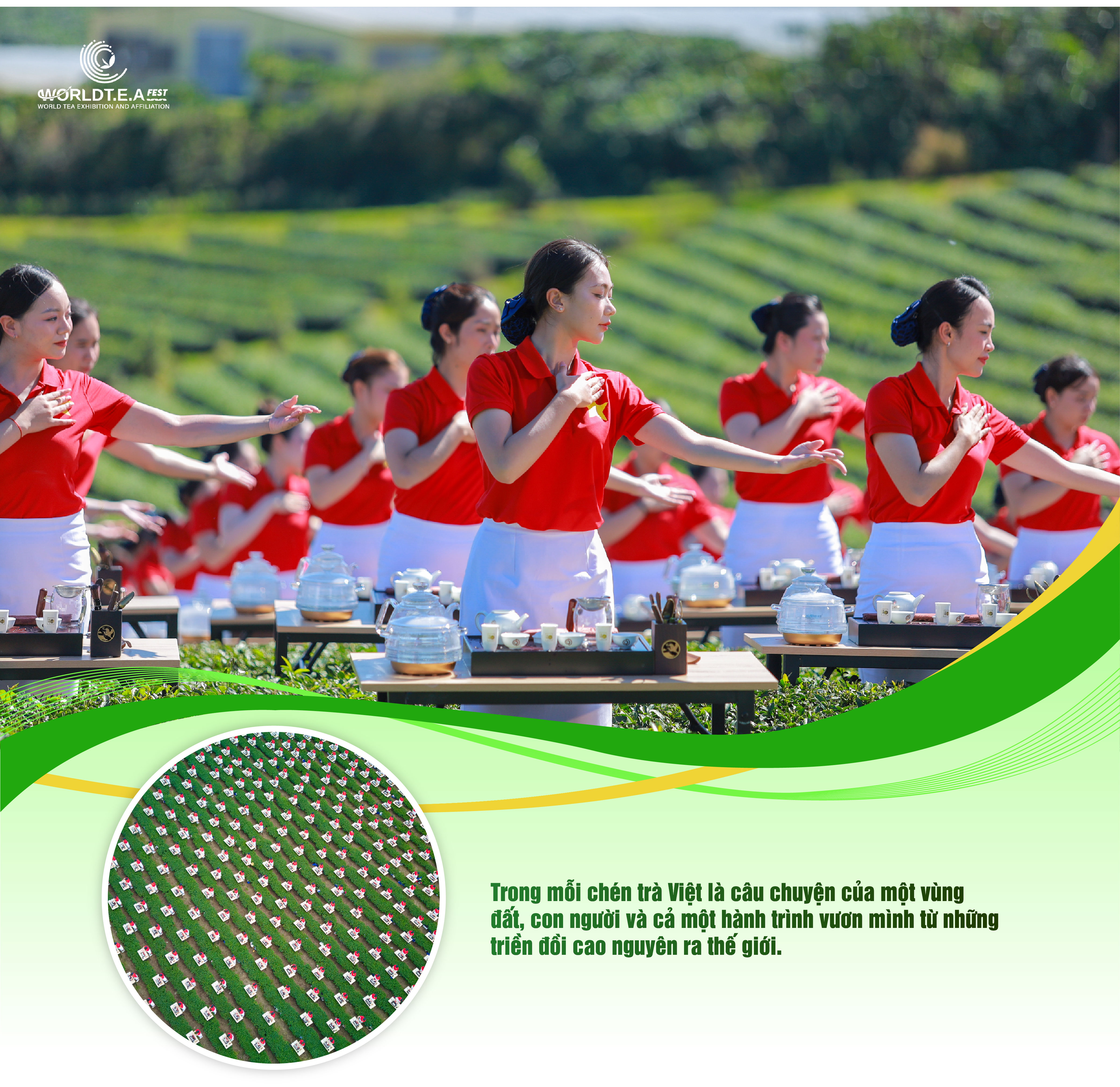 Trà Việt Vươn Mình: Dấu Ấn Quốc Tế Từ World T.E.A Fest 2025- Ảnh 3. Trà Việt Vươn Mình: Dấu Ấn Quốc Tế Từ World T.E.A Fest 2025- Ảnh 3.