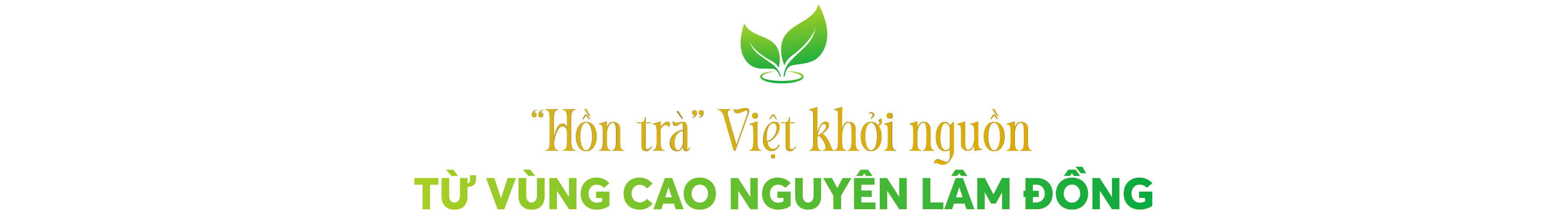 Trà Việt Vươn Mình: Dấu Ấn Quốc Tế Từ World T.E.A Fest 2025- Ảnh 1. Trà Việt Vươn Mình: Dấu Ấn Quốc Tế Từ World T.E.A Fest 2025- Ảnh 1.