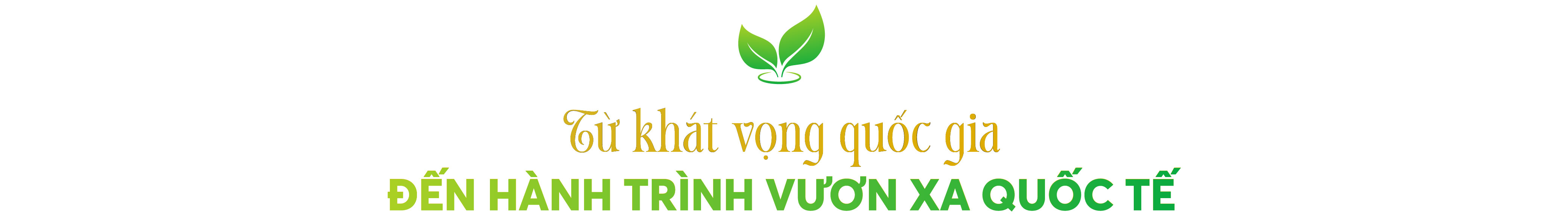 Trà Việt Vươn Mình: Dấu Ấn Quốc Tế Từ World T.E.A Fest 2025- Ảnh 13. Trà Việt Vươn Mình: Dấu Ấn Quốc Tế Từ World T.E.A Fest 2025- Ảnh 13.