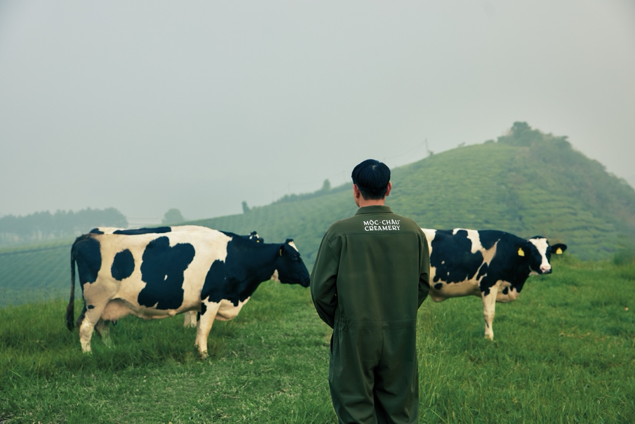 Mộc Châu Creamery: Kế thừa di sản để chuyển mình bền vững- Ảnh 1.