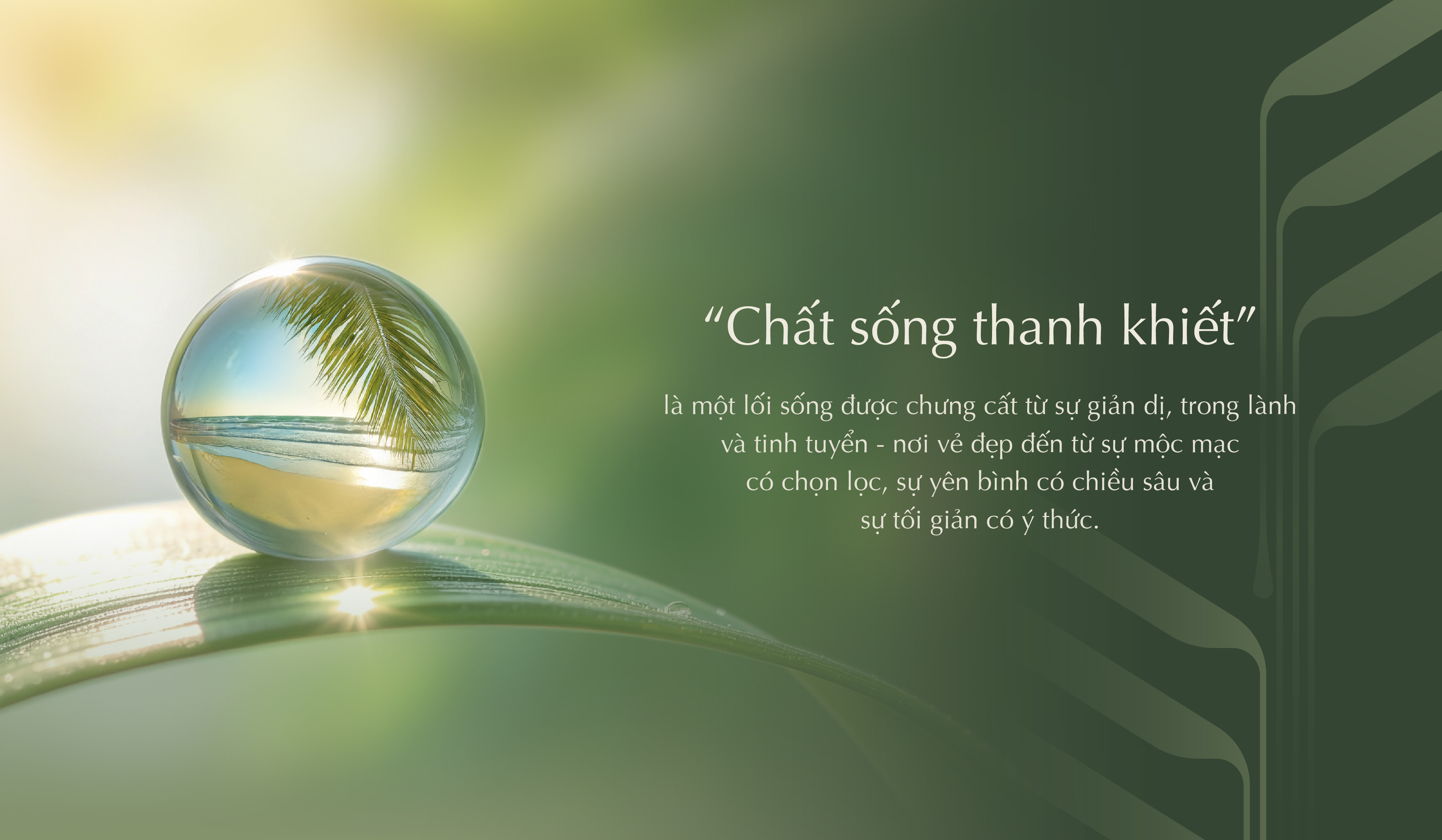“Lắng lại để thanh khiết” - Chất sống định danh LUMIÈRE Orient Pearl - Ảnh 2. “Lắng lại để thanh khiết” - Chất sống định danh LUMIÈRE Orient Pearl - Ảnh 2.