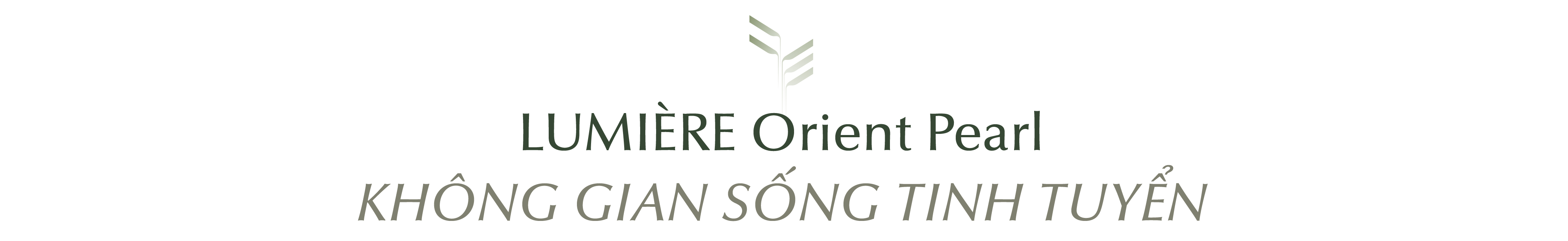“Lắng lại để thanh khiết” - Chất sống định danh LUMIÈRE Orient Pearl - Ảnh 3. “Lắng lại để thanh khiết” - Chất sống định danh LUMIÈRE Orient Pearl - Ảnh 3.
