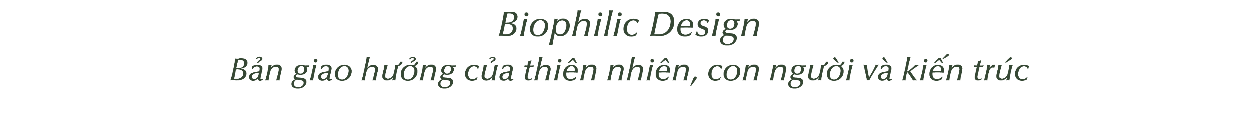 “Lắng lại để thanh khiết” - Chất sống định danh LUMIÈRE Orient Pearl - Ảnh 6. “Lắng lại để thanh khiết” - Chất sống định danh LUMIÈRE Orient Pearl - Ảnh 6.
