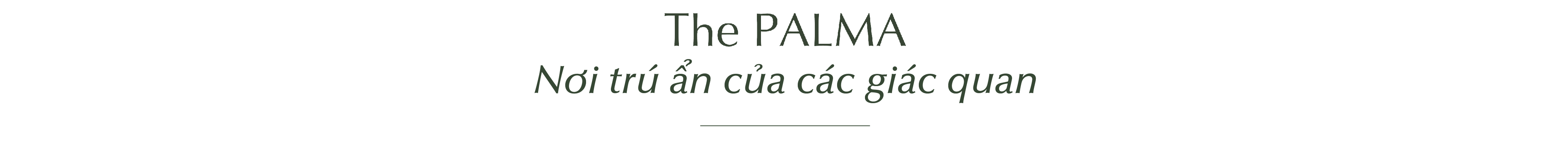 “Lắng lại để thanh khiết” - Chất sống định danh LUMIÈRE Orient Pearl - Ảnh 10. “Lắng lại để thanh khiết” - Chất sống định danh LUMIÈRE Orient Pearl - Ảnh 10.