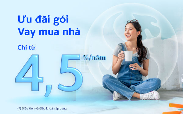 Ngân hàng Shinhan ưu đãi lãi vay tiêu dùng trọn gói chỉ từ 4.5% năm - Ảnh 1.