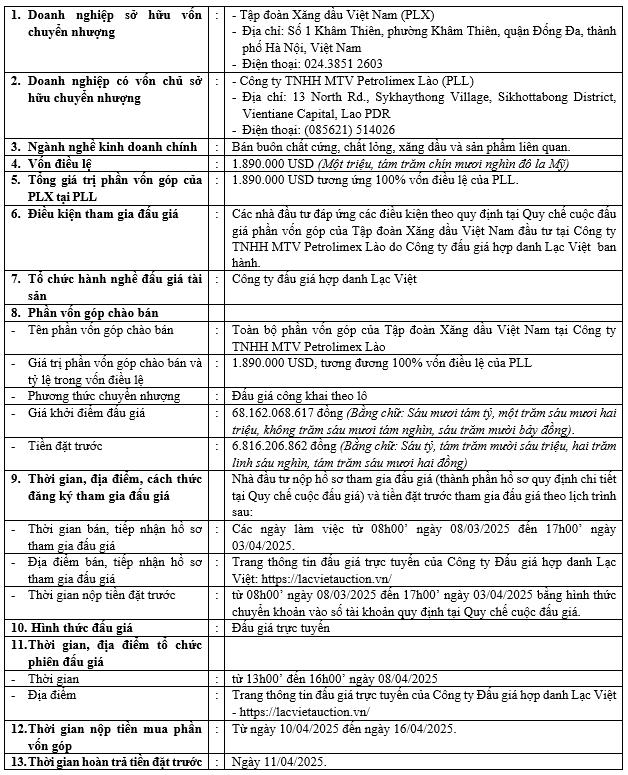 Bán đấu giá phần vốn góp của Tập đoàn Xăng dầu Việt Nam đầu tư tại Petrolimex Lào- Ảnh 1.