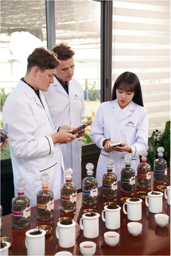 CEO HACI: Đổi mới và phát triển ngành trà bền vững - Ảnh 2.