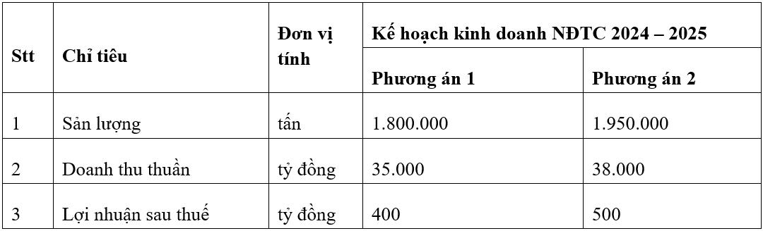 HSG đặt kế hoạch kinh doanh theo 02 phương án lợi nhuận trong NĐTC 2024 - 2025- Ảnh 1.