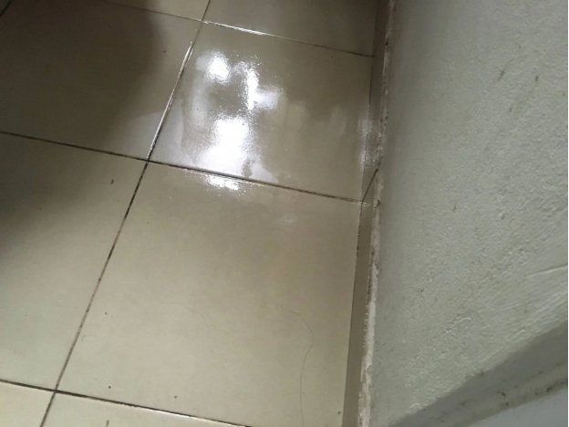 M&ugrave;a nồm ẩm mốc, giải quyết tận gốc từ s&agrave;n nh&agrave; với nước lau s&agrave;n chứa lợi khuẩn - Ảnh 1.