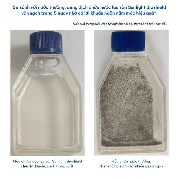 M&ugrave;a nồm ẩm mốc, giải quyết tận gốc từ s&agrave;n nh&agrave; với nước lau s&agrave;n chứa lợi khuẩn - Ảnh 3.