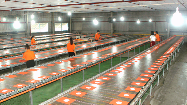 Đằng sau chiến dịch Marketing thành công chỉ với một chiếc túi vải không dệt - Ảnh 4.