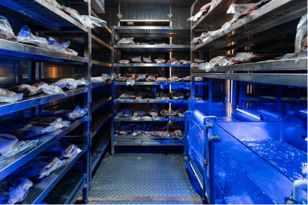 WOOMASTER - Tiên phong định hình phân khúc Steakhouse cận cao cấp - Ảnh 1.