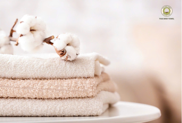CEO Thái Bình Towel: Mong muốn chiếm 20-30% thị phần trên thị trường khăn bông Việt Nam - Ảnh 1. CEO Thái Bình Towel: Mong muốn chiếm 20-30% thị phần trên thị trường khăn bông Việt Nam - Ảnh 1.