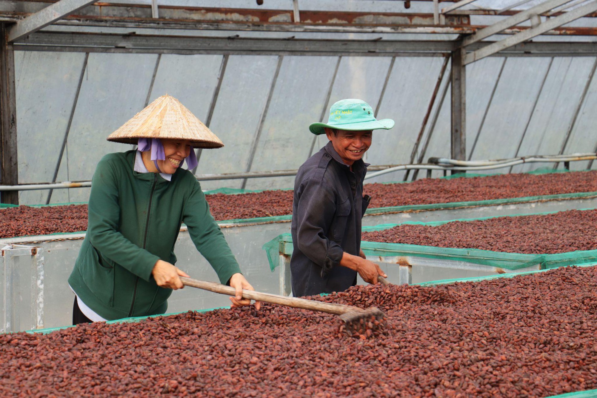 Để hồn Việt “lên men” trong từng hạt cacao thủ công- Ảnh 1. Để hồn Việt “lên men” trong từng hạt cacao thủ công- Ảnh 1.