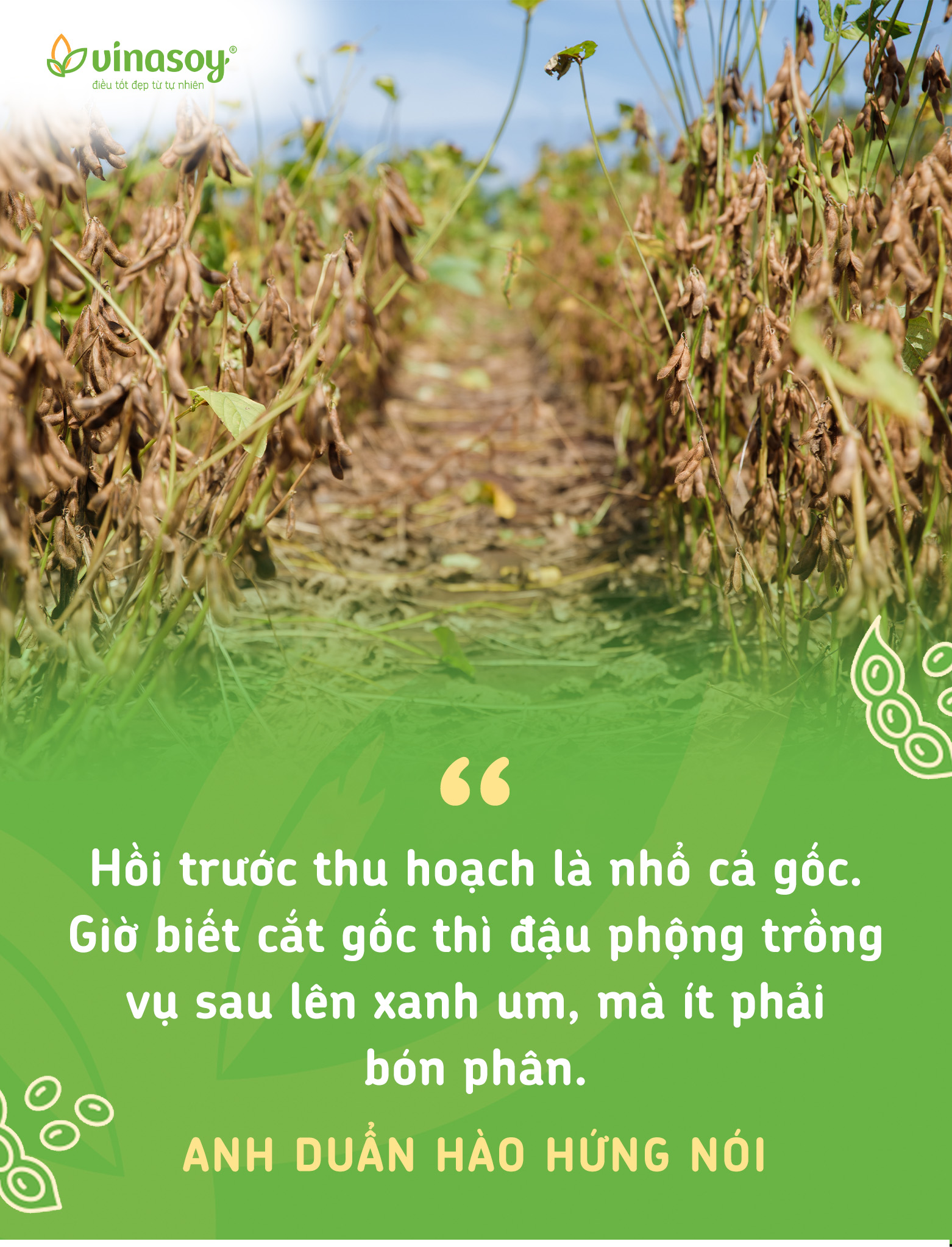 Chuyện người giữ sức khỏe cho đất- Ảnh 4. Chuyện người giữ sức khỏe cho đất- Ảnh 4.