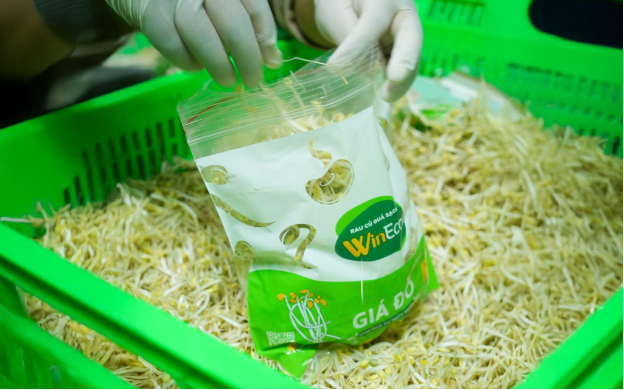 Món ngon dinh dưỡng từ giá đỗ sạch - Ảnh 2. Món ngon dinh dưỡng từ giá đỗ sạch - Ảnh 2.