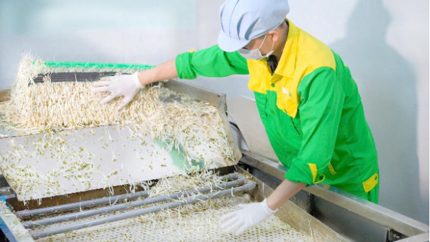 Món ngon dinh dưỡng từ giá đỗ sạch - Ảnh 3. Món ngon dinh dưỡng từ giá đỗ sạch - Ảnh 3.