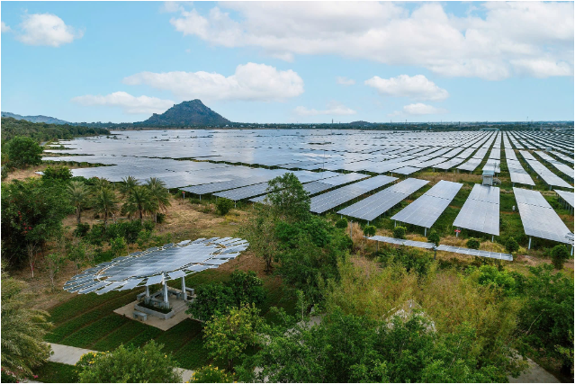 Khai mở "mỏ nắng" của miền Tây Nam Bộ- Ảnh 1.