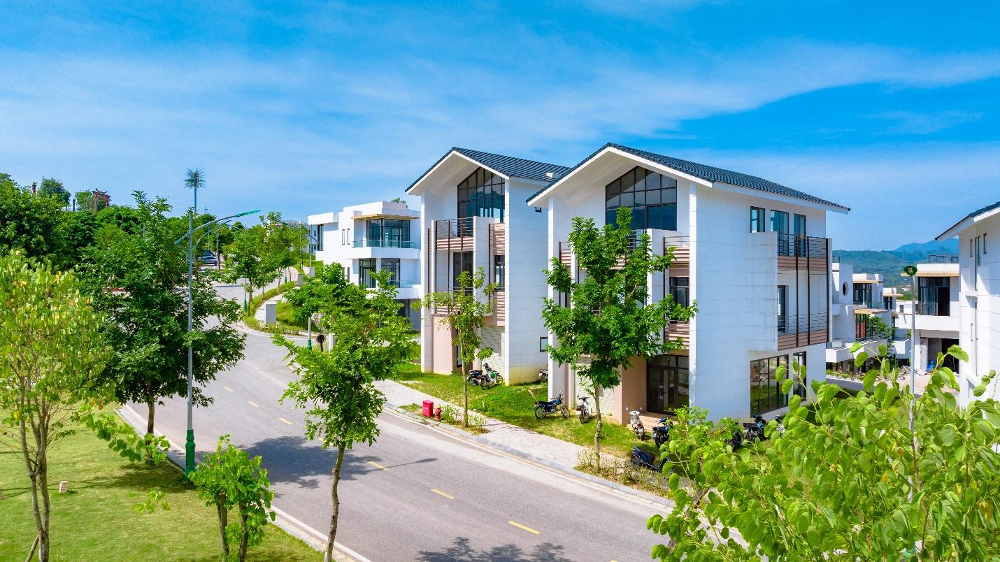 Tỉnh giấc giữa đồi thông, Legacy Hill và hành trình tìm về giá trị sống nguyên bản - Ảnh 3. Tỉnh giấc giữa đồi thông, Legacy Hill và hành trình tìm về giá trị sống nguyên bản - Ảnh 3.