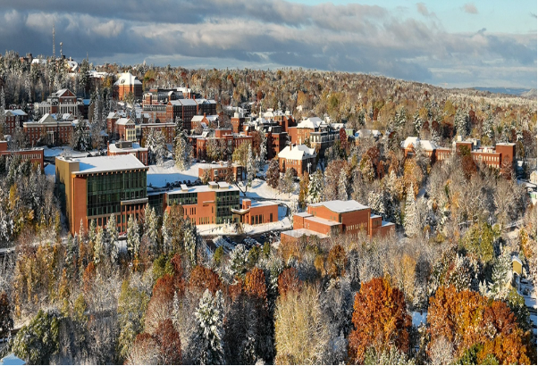 Làm sao du học Canada tiết kiệm đến 40% chi phí?- Ảnh 1.