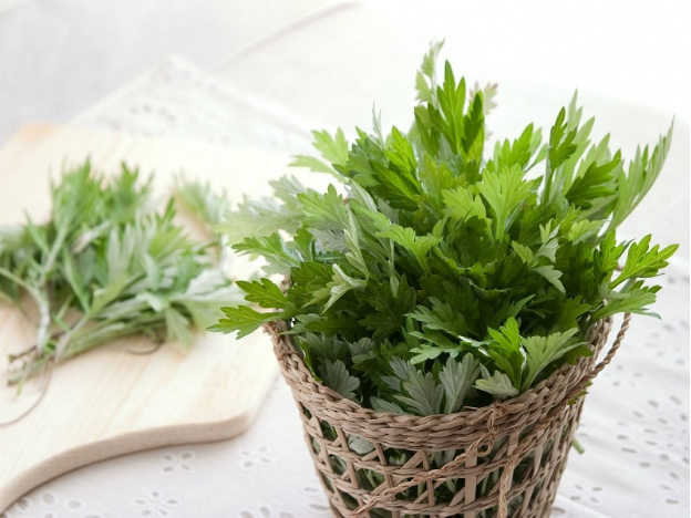 Thoáng sạch và an toàn: Đã đến lúc bạn nên thử băng vệ sinh ngải cứu - Ảnh 1.