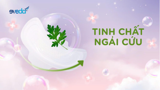 Thoáng sạch và an toàn: Đã đến lúc bạn nên thử băng vệ sinh ngải cứu - Ảnh 2.