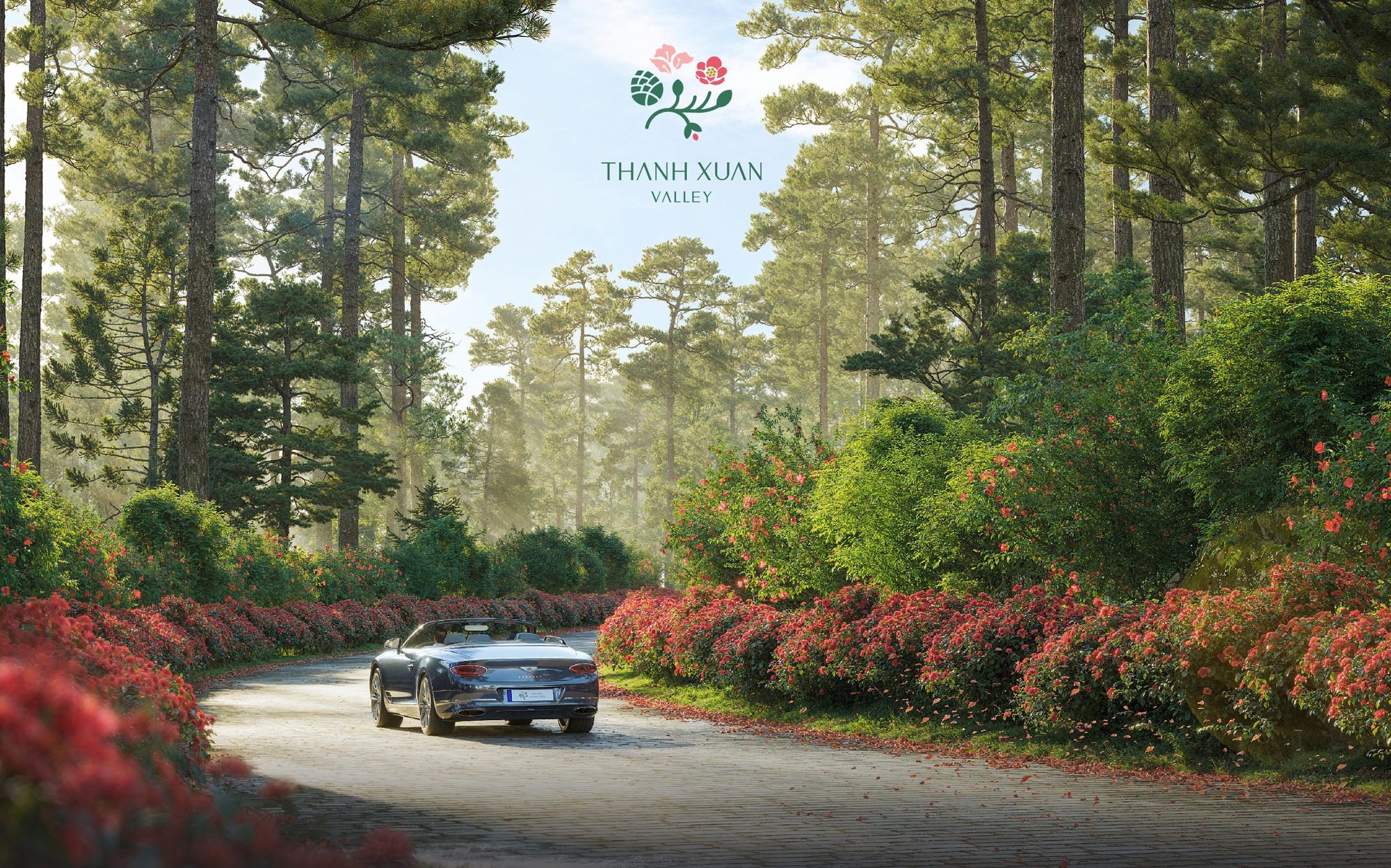 Thanh Xuan Valley, điều kỳ diệu độc bản từ thời gian