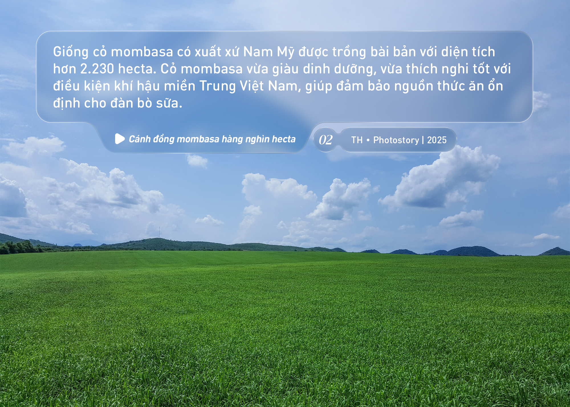 Bức tranh thiên nhiên ngút tầm mắt chỉ có ở nơi sản xuất sữa tươi sạch TH true MILK- Ảnh 2. Bức tranh thiên nhiên ngút tầm mắt chỉ có ở nơi sản xuất sữa tươi sạch TH true MILK- Ảnh 2.