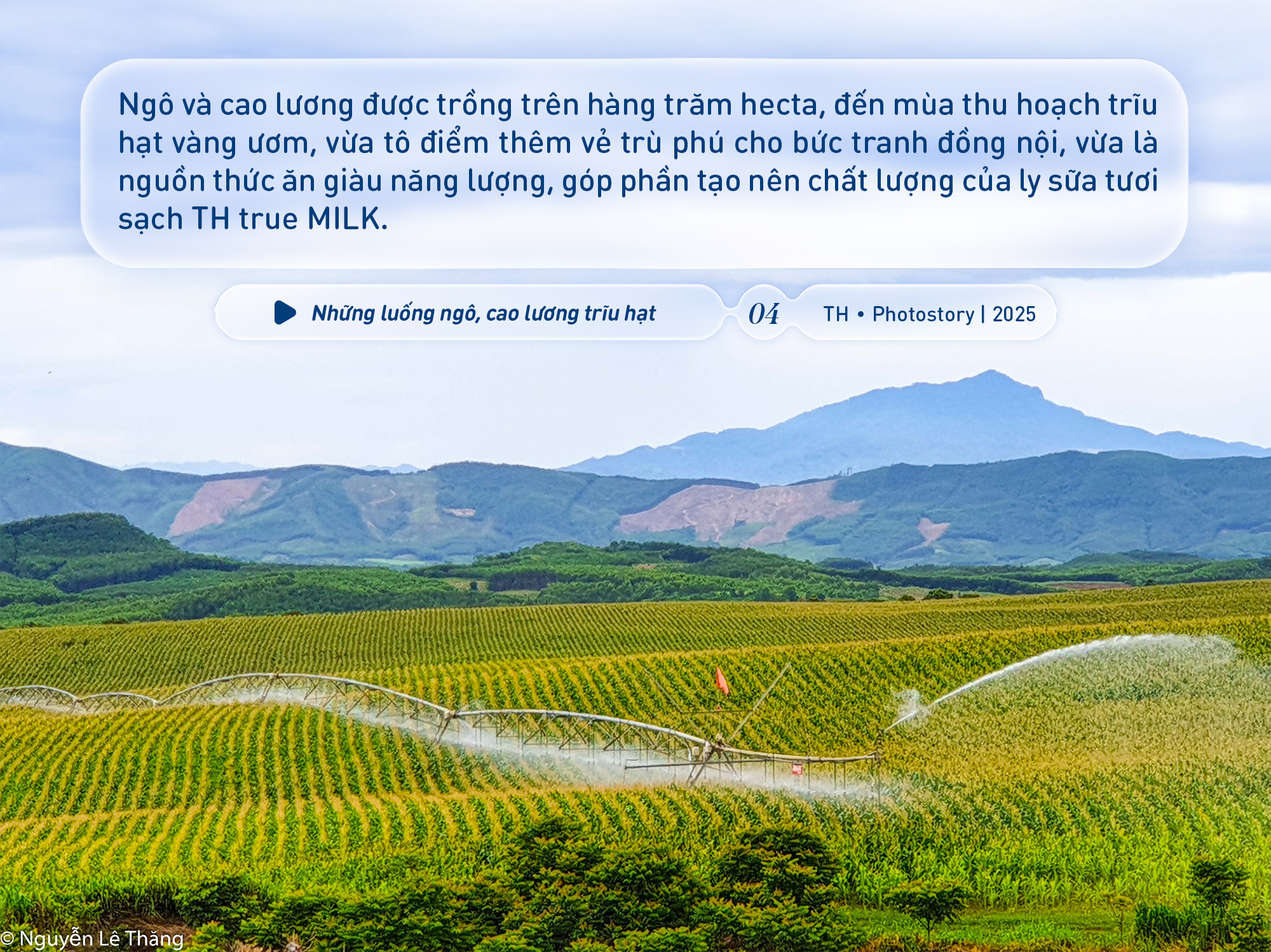 Bức tranh thiên nhiên ngút tầm mắt chỉ có ở nơi sản xuất sữa tươi sạch TH true MILK- Ảnh 4. Bức tranh thiên nhiên ngút tầm mắt chỉ có ở nơi sản xuất sữa tươi sạch TH true MILK- Ảnh 4.