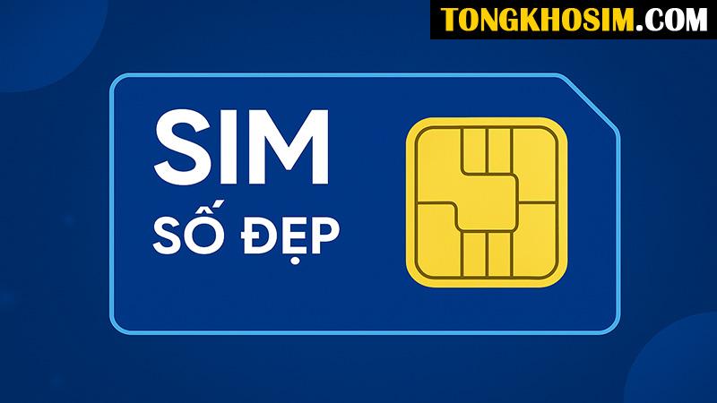 Chọn sim số đẹp tại Tongkhosim - Sim chất, giá thật- Ảnh 1.